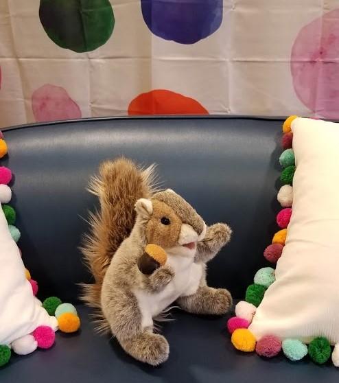Image for event: Grey Squirrel Story Time for Preschoolers (FACEBOOK)